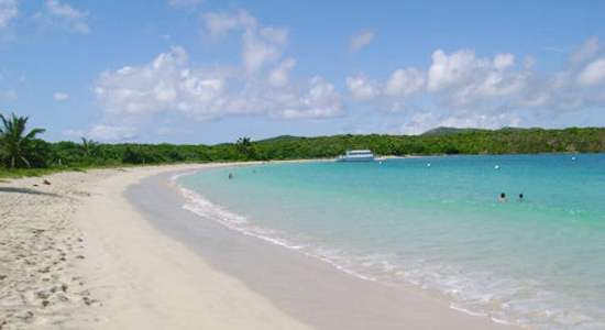 波多黎各的五个岛国胜地 荧光海湾最特别