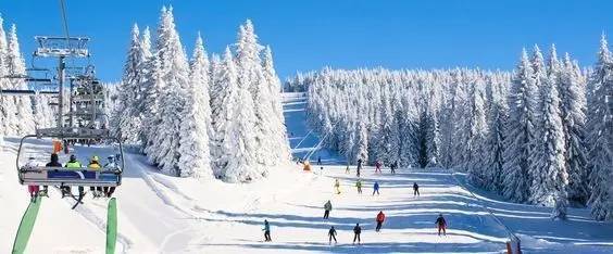 塞尔维亚滑雪胜地科帕奥尼克