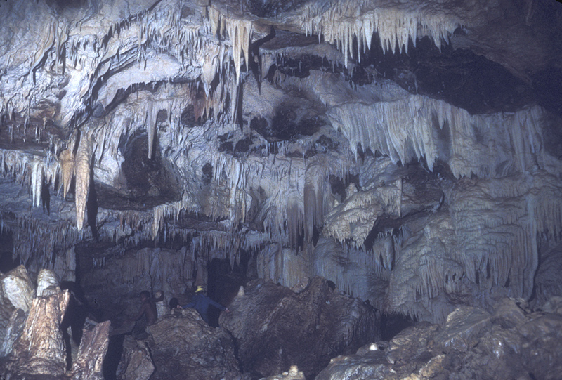 牙买加科菲河洞穴