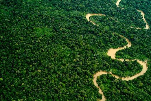 秘鲁亚马逊热带雨林