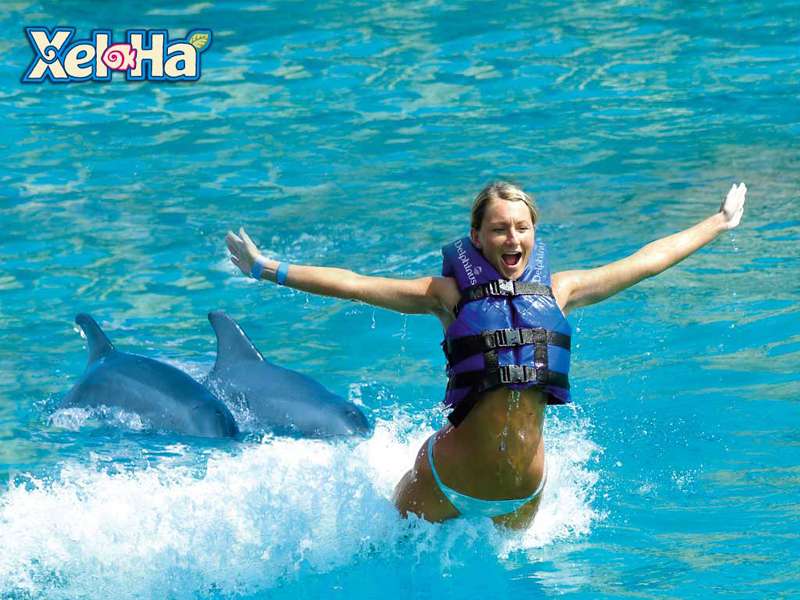 墨西哥谢哈公园骑海豚