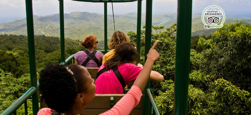 牙买加神秘山空中缆椅