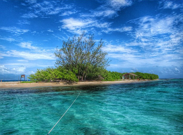牙买加珊瑚岛