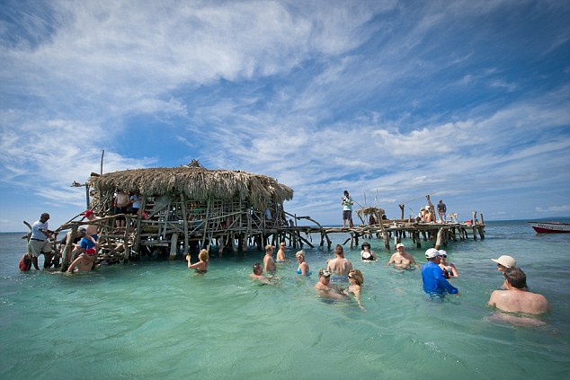 牙买加鹈鹕酒吧游泳