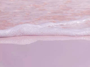 巴哈马粉色海滩