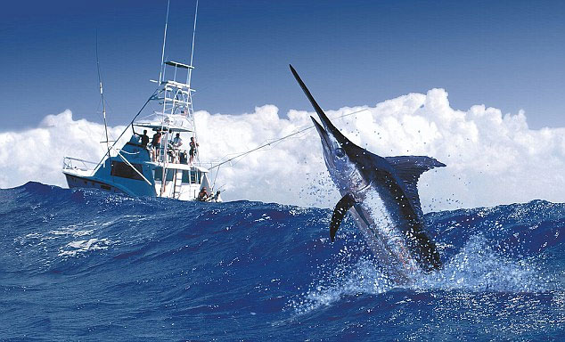 牙买加安东尼奥港国际马林鱼垂钓比赛
