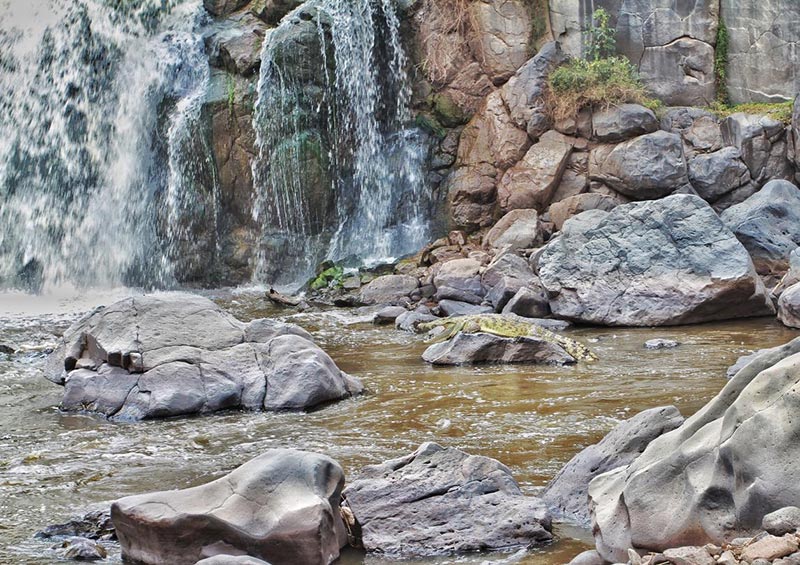 埃塞俄比亚阿瓦什国家公园瀑布