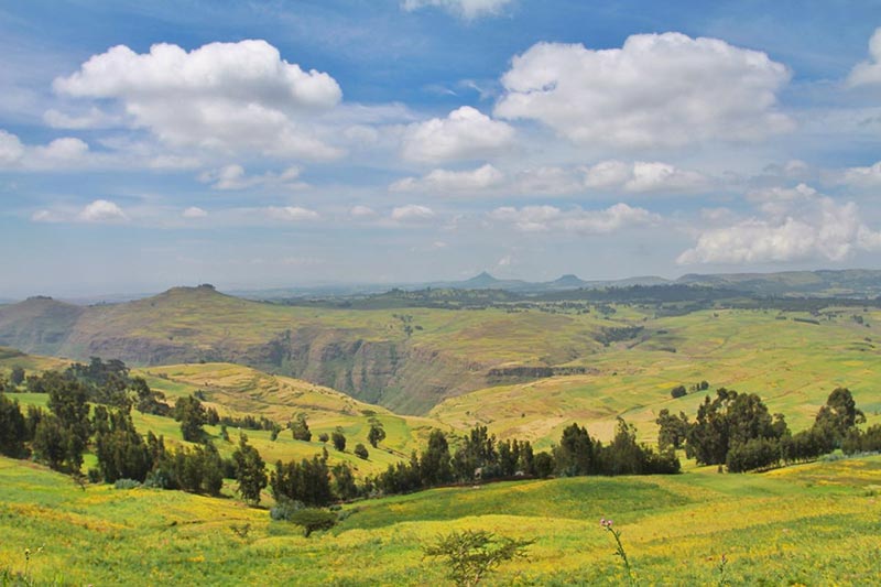 埃塞俄比亚瑟门山国家公园