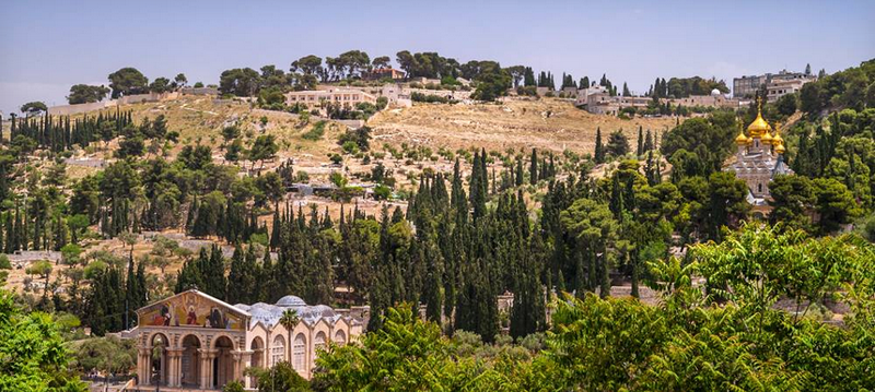 耶路撒冷橄榄山