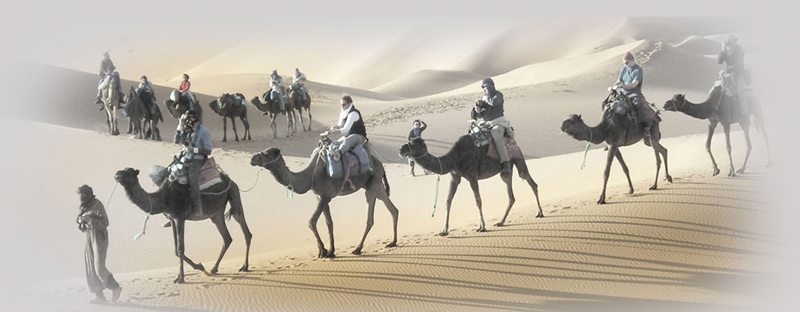 突尼斯撒哈拉沙漠骑骆驼