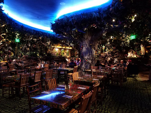 热带雨林餐厅