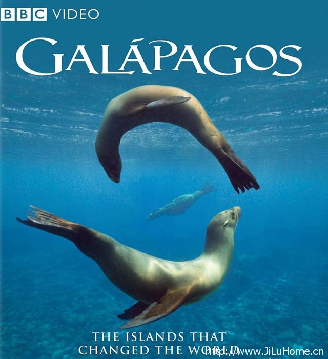 BBC纪录片加拉帕戈斯群岛
