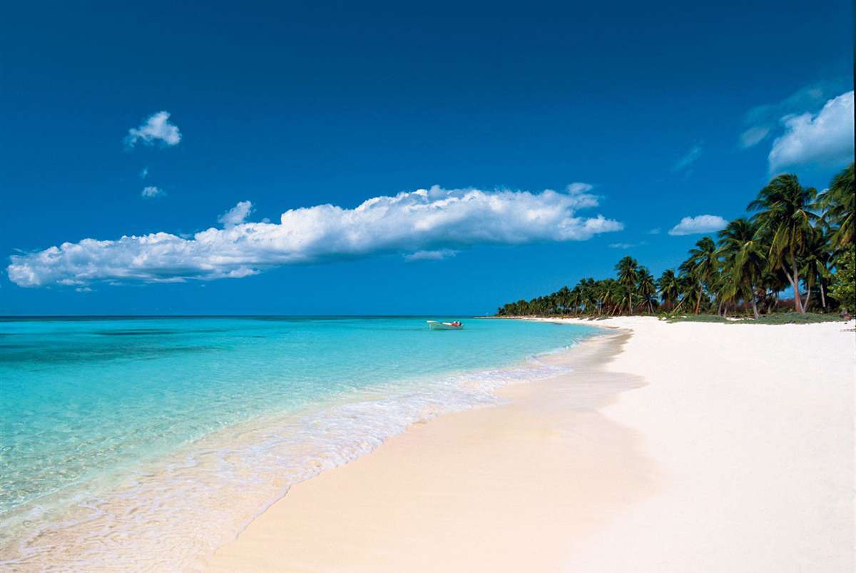 多米尼加蓬塔卡纳普拉亚布兰卡海滩