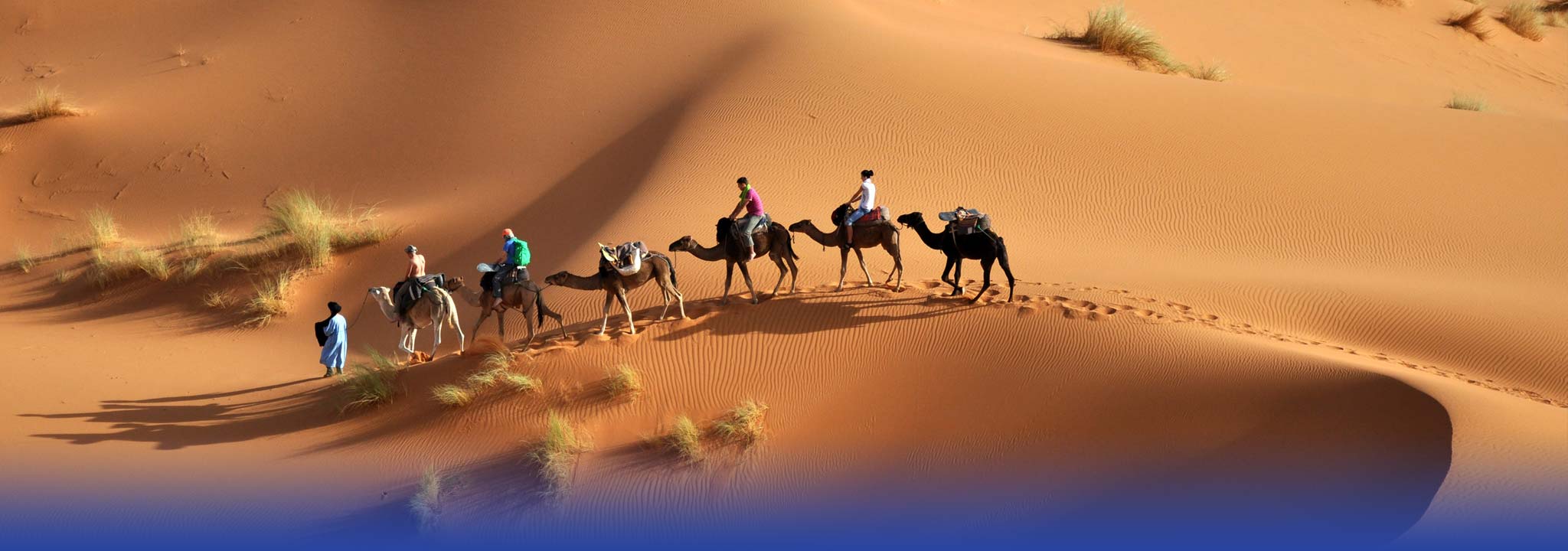 骑骆驼穿越撒哈拉沙漠