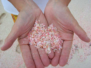 粉色沙滩
