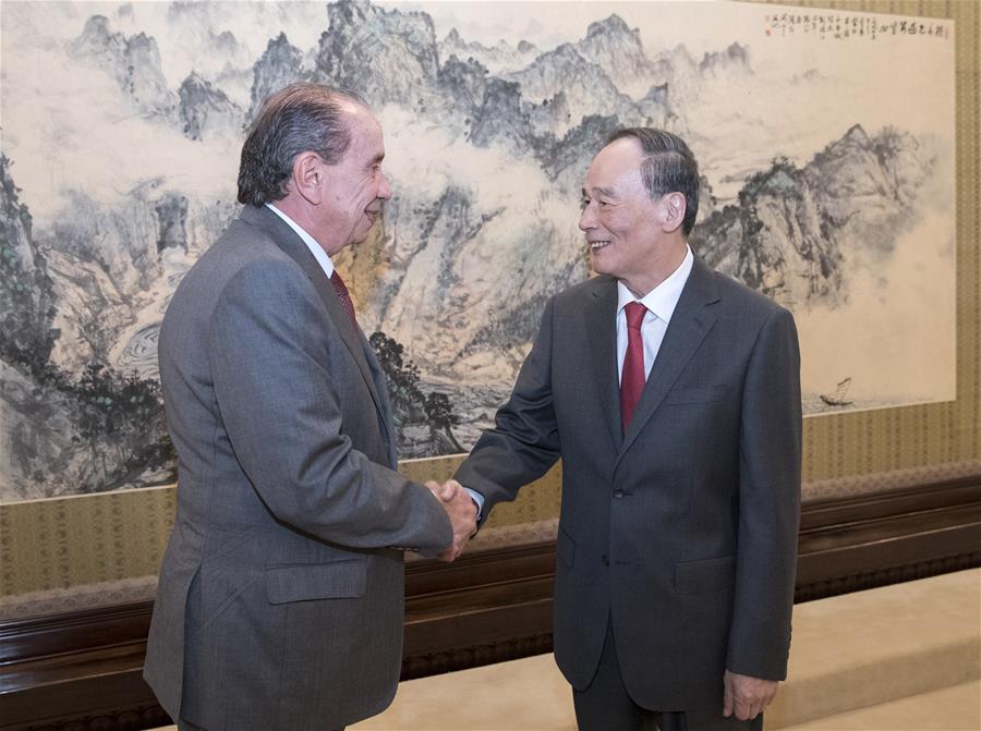 Chinese vice president meets Brazilian foreign minister