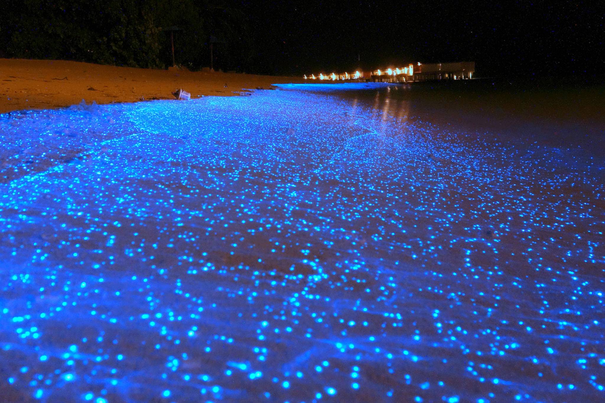 荧光海滩