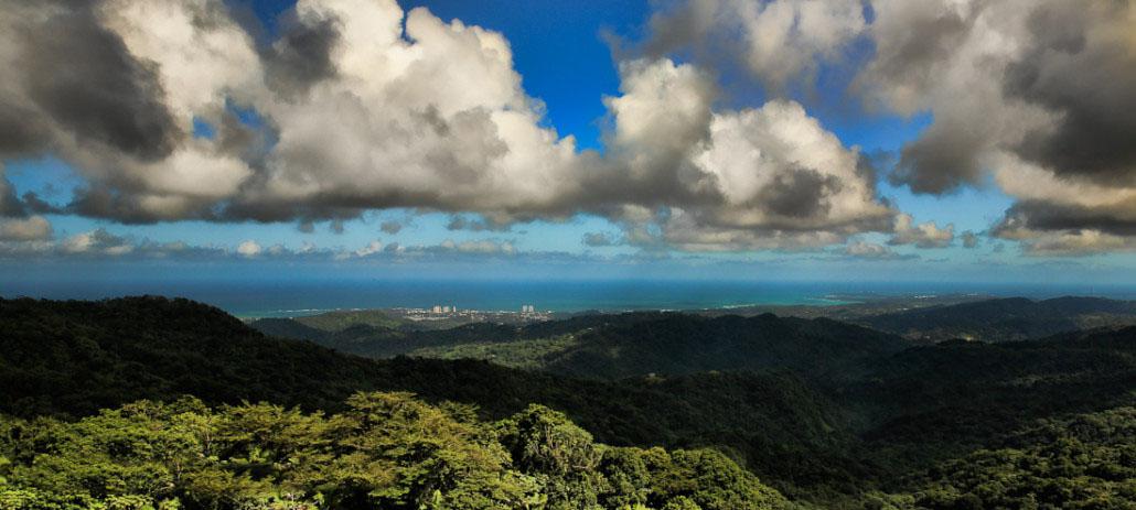 波多黎各云盖国家森林