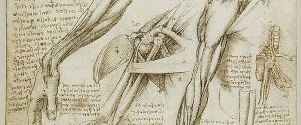 达芬奇解剖手稿