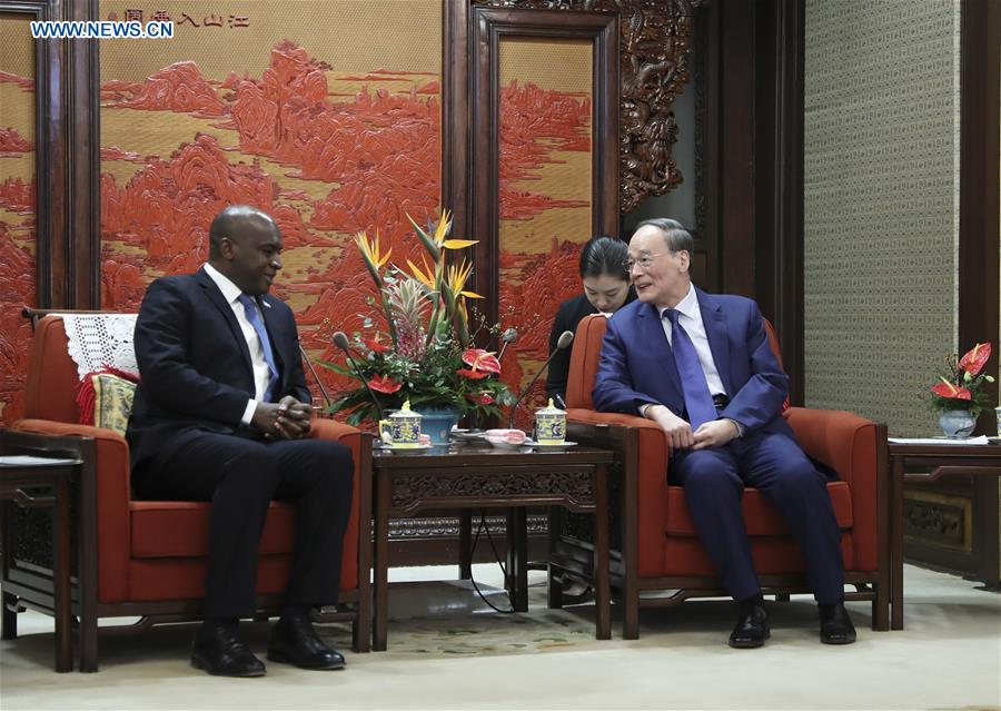 Chinese Vice President meets Sierra Leone's Foreign Minister
