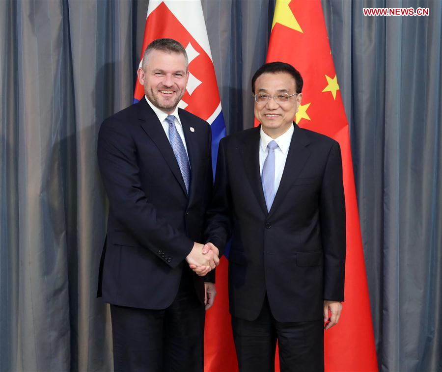 China, Slovakia agree to further cooperation, ties
