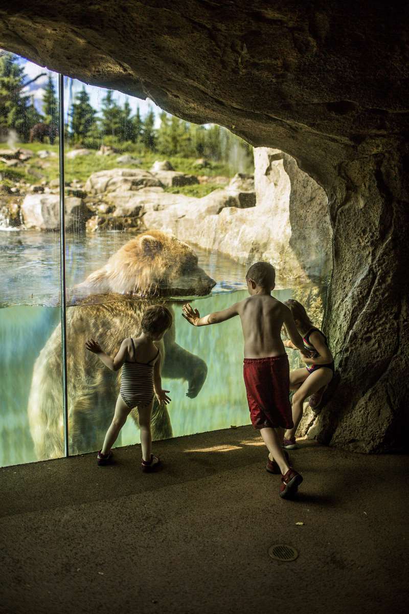 明尼苏达州动物园