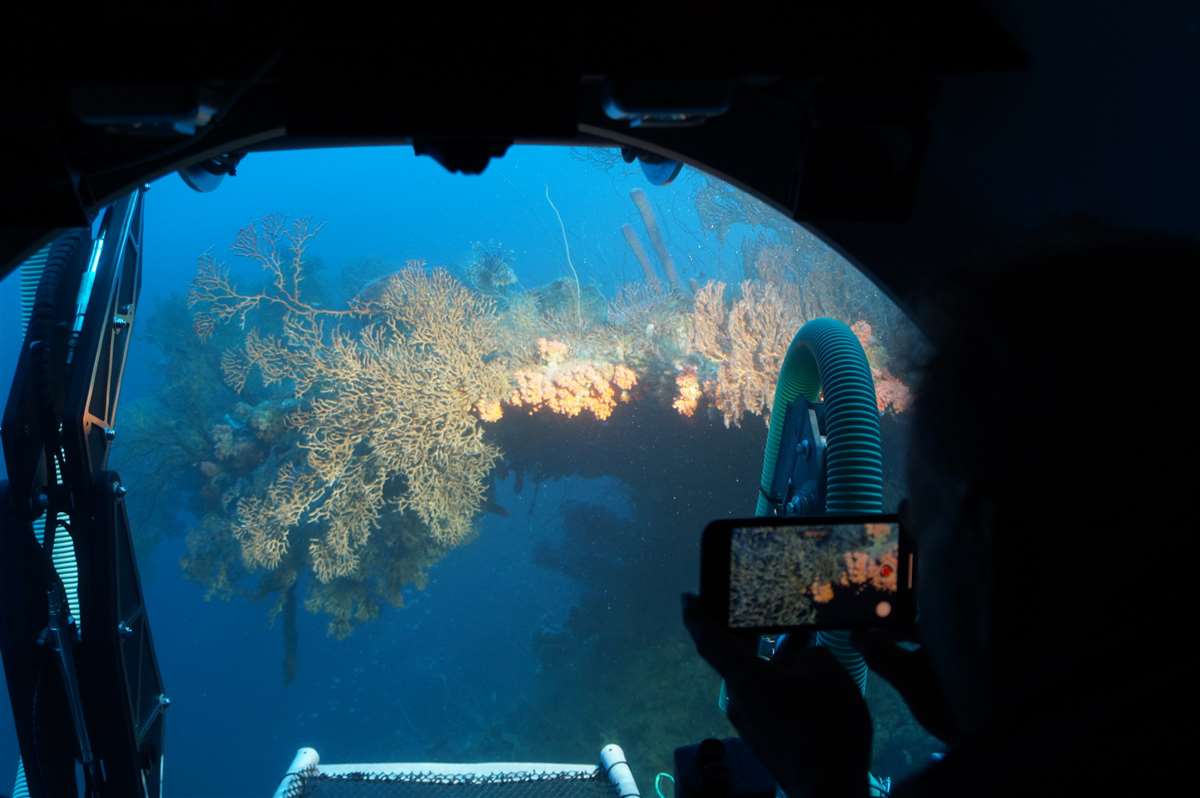 加勒比库拉索海洋水族馆Curasub号旅游潜艇