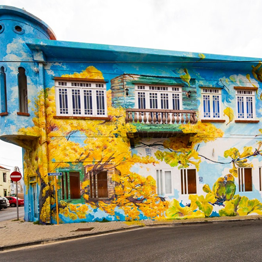加勒比库拉索岛壁画