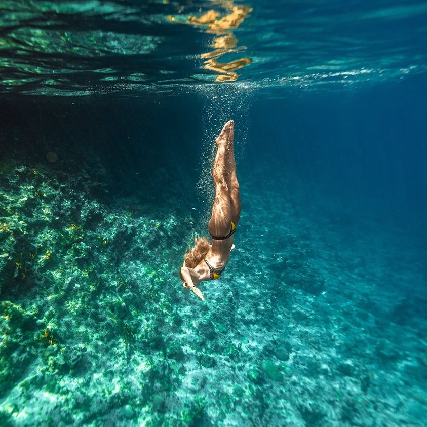 加勒比库拉索岛浮潜