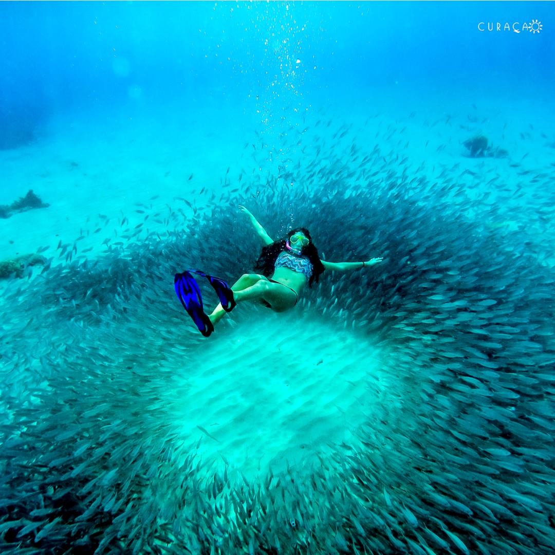 加勒比海库拉索岛潜水