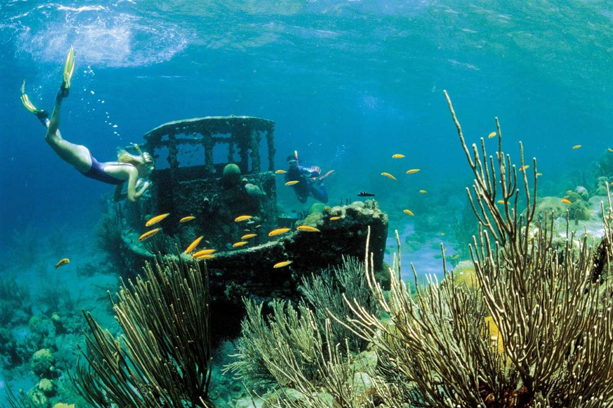 加勒比海库拉索岛沉船潜水
