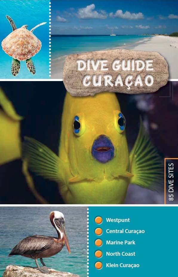 加勒比海库拉索岛潜水指南