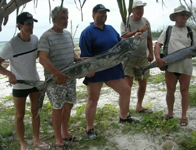 costal tanzania