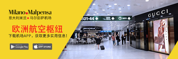 意大利 - 米兰马尔彭萨机场