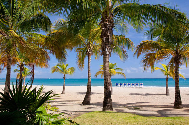 点击以下图片可近距离参观佛得岛海滩万怡度假酒店.