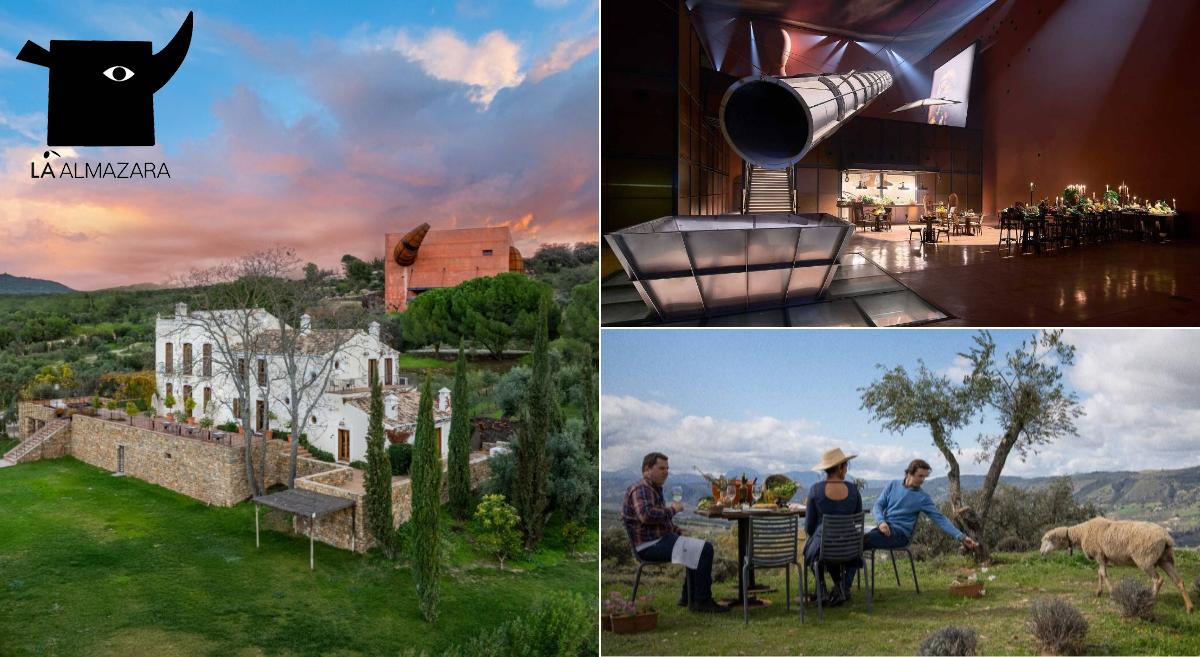 A Timeless Sanctuary of Olive Oil Flavors �� LA Almazara, Spain