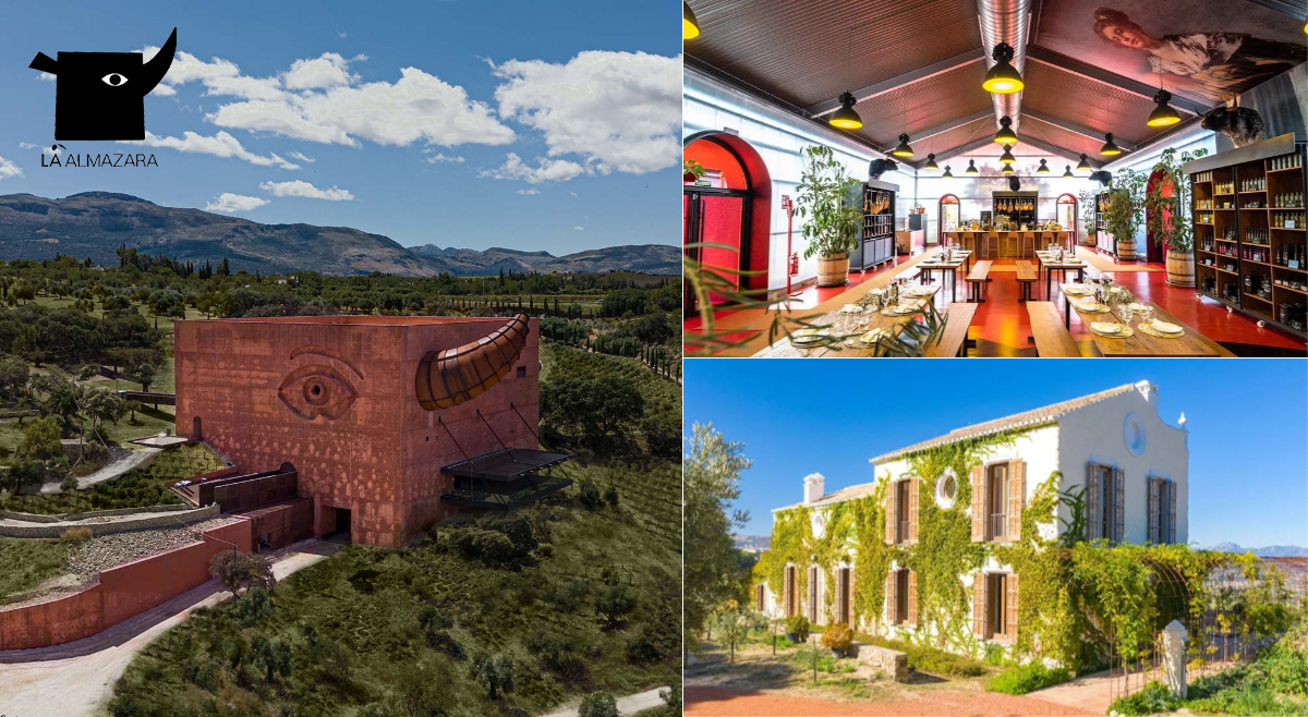 A Journey Through 7,000 Years of Olive Oil's Timeless Transformation in Ronda, Spain