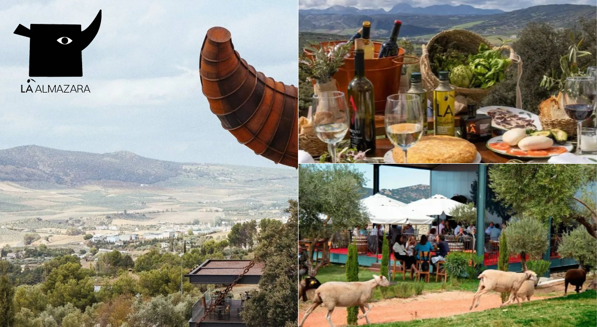 ����������������ҵ��˰���¬���ǵ�ӡ��