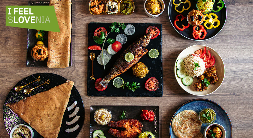 ˹���������׶� - ¬��������2026�꾫ѡ�²����Ƽ�