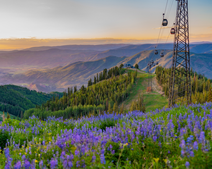 Aspen Snowmass