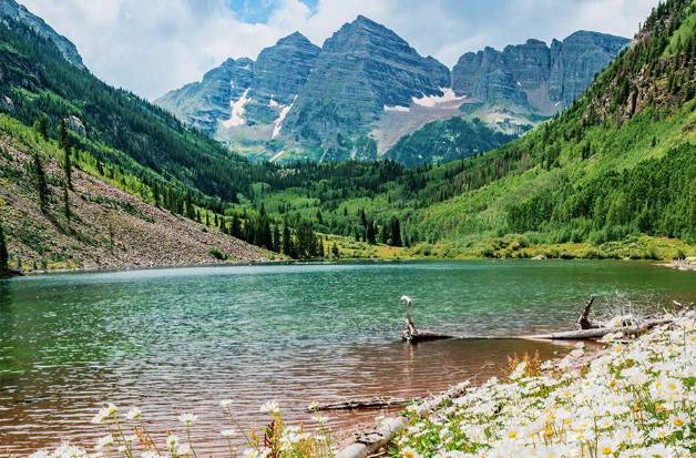 在美国Aspen Snowmass，邂逅属于夏天的花海
